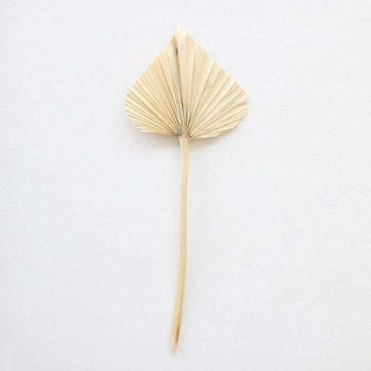 Dried Palm Spear