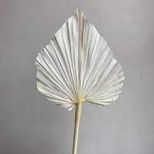 Dried Palm Spear