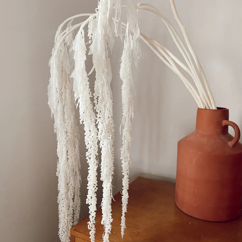 Dried Amaranthus Hanging